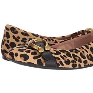 coach stanton signature buckle ballet flats